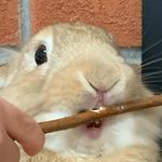 Caleb Ferguson - @calebferguson478 - Instagram