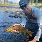 Caleb Ferguson - @cferg_03 - Instagram