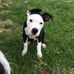 Caleb Fetterhoff - Facebook
