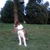 Caleb Fike - Facebook