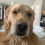 Caleb Fischer - @cfisch_ - Instagram