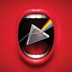 Caleb Fitzgerald - @calebfitzgerald35353 - Instagram