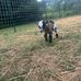 Caleb Fitzgerald - Facebook