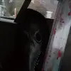 CaleB Fleming - @caleb.fleming76 - TikTok
