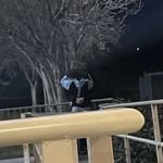 Caleb Fleming - @calebfleming422 - Instagram