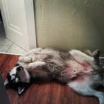Caleb Foley - @caleb_foley_69 - Instagram