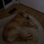 Caleb Foote - @calebrfoote - Instagram