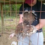 Caleb Frazier - @calebfrazier7651 - Instagram