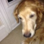 Caleb Frazier - @calebfrazier7557 - Instagram