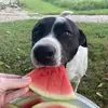 caleb frazier - @caleb.frazier22 - TikTok