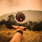 Caleb Frey - @outsidetheshutters - Instagram