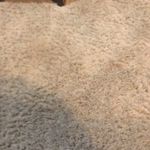 Caleb Frye - @cfrye226 - Instagram