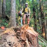 Caleb Frye - @fryecaleb - Instagram