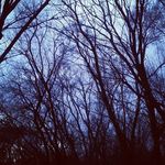 Caleb fuller - @satan.fuller - Instagram