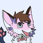 azzy :3 - @caleb_furryfinn._xd - Instagram