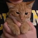 Caleb Furry - @calebfurry296 - Instagram