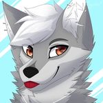 furry - @caleb.furry.wolfie - Instagram