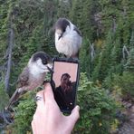 Caleb Fyffe - Facebook