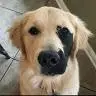 Caleb gaddis - @marley0073 - TikTok
