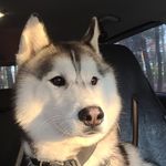 Caleb Gaines - @caleb5gaines - Instagram