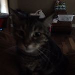 Caleb Gaines - @caleb30001 - Instagram