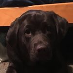 Caleb Galloway - @galloway.caleb - Instagram