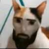 galvan - @caleb.galvan - TikTok