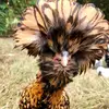 Caleb gambrell - @caleb.gambrell - TikTok