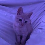 Caleb Gannon - Facebook