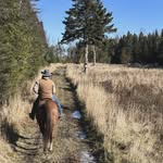Caleb Gaulin - @calebgaulin4 - Instagram