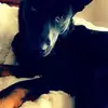 Calebgentry backup - @calebgentrybackup_23 - TikTok