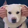 calebstgermain283 - @calebstgermain283 - TikTok