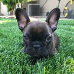 Caleb Gibbs - @caleb_gibbs122 - Instagram