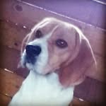 Caleb giles - @calebgiles1234 - Instagram