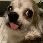 Caleb Giles - @cgiles77 - Instagram