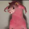 Caleb Gillis - @caleb.gillis19 - TikTok