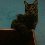 Gilmer Caleb Ynuma Chaves - Facebook