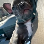 Caleb Ginn - Facebook