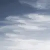 calebgolls472 - @calebgolls472 - TikTok