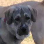 caleb goode - @caleb1754 - Instagram