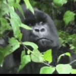 Caleb Gooden - @caleb._.gooden - Instagram