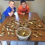 Caleb Goodwin - @calebgoodwin70 - Instagram