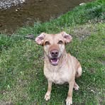 Caleb Grace Hornbeck - Facebook