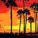 Cale Graff - Facebook