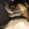 Caleb.grant7777 - @caleb.grant7777 - TikTok
