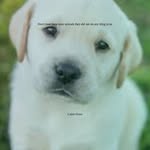 Caleb Greer - @cute_dogs_cats109 - Instagram