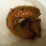 Caleb Greer - @calebgreer24 - Instagram