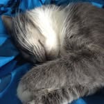 Caleb Greer - @calebgreer4 - Instagram