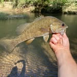 Caleb Gregory - @wilco_outdoorsman - Instagram
