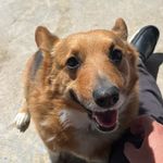 Caleb Griggs - @griggs_caleb - Instagram